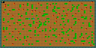 Level 55