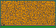 Level 31