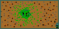 Level 29
