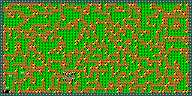 Level 12