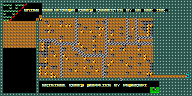 Level 11