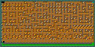 Level 55