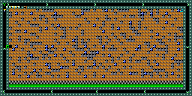 Level 5