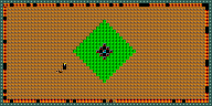 Level 24
