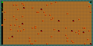 Level 24