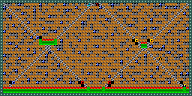 Level 55