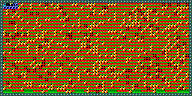 Level 33