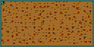 Level 11