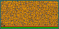 Level 31