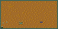 Level 12
