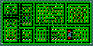 Level 29
