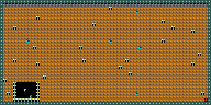 Level 24