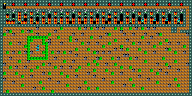 Level 13