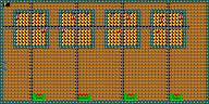 Level 25