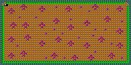 Level 14