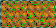Level 5