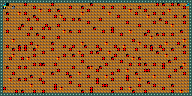 Level 24