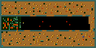 Level 12