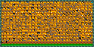 Level 31
