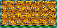 Level 31
