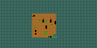 Level 5