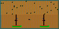 Level 25