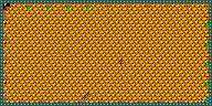 Level 50
