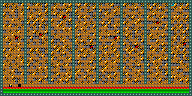 Level 11