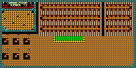 Level 12