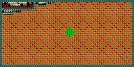 Level 55