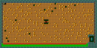 Level 19