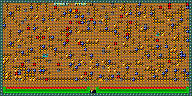 Level 19