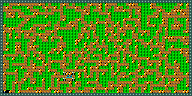 Level 65