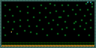 Level 13