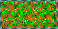 Level 29