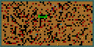 Level 11