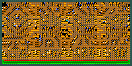 Level 16