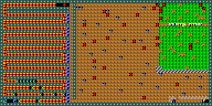 Level 55