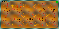 Level 8