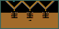 Level 24