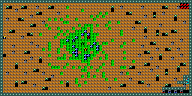 Level 71