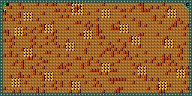 Level 24