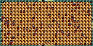 Level 31