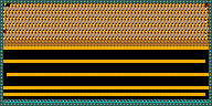 Level 41