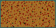 Level 27