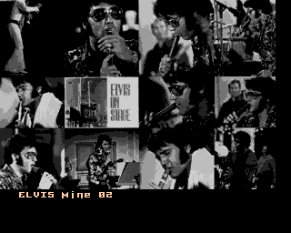 Elvis Mine 2